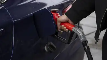 Conoce cómo quedó el cronograma de distribución de gasolina subsidiada del 09 al 15 de marzo Conoce cómo quedó el cronograma de distribución de gasolina subsidiada del 09 al 15 de marzo