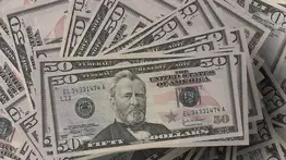 Paso a paso: ¿Cómo participar en la subasta de divisas para personas naturales en Bancamiga?