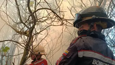 Madre falleció tras quedar atrapada durante el incendio de su vivienda: logró rescatar a su hija Madre falleció tras quedar atrapada durante el incendio de su vivienda: logró rescatar a su hija