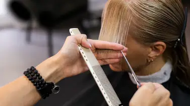 Y no es el corte mariposa: sorpréndete con las verdaderas tendencias en looks para el cabello para este 2026 Y no es el corte mariposa: sorpréndete con las verdaderas tendencias en looks para el cabello para este 2026