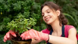 Conoce qué efectos tienen las fases de la Luna en tus plantas: aprovecha estos días de marzo y repara tu jardín