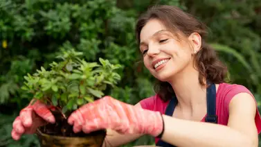 Conoce qué efectos tienen las fases de la Luna en tus plantas: aprovecha estos días de marzo y repara tu jardín Conoce qué efectos tienen las fases de la Luna en tus plantas: aprovecha estos días de marzo y repara tu jardín
