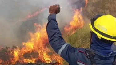 Incendio forestal en el Henri Pittier: activan Operación Llovizna con aeronaves Incendio forestal en el Henri Pittier: activan Operación Llovizna con aeronaves