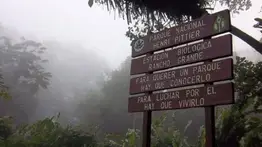 En imágenes: rescatan a tres cachorros de zorro tras incendio en el Parque Nacional Henri Pittier