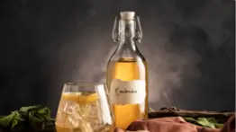 Cómo preparar kombucha casera de forma rápida y segura: paso a paso para un fermentado perfecto