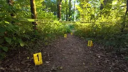 Confesó el lugar exacto donde la enterraron: hallan restos de adolescente venezolana en Brasil 