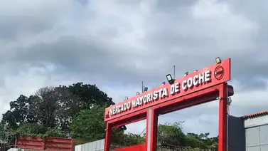 Precios del pescado en el Mercado de Coche de cara a la Semana Santa: montos al 17 de marzo Precios del pescado en el Mercado de Coche de cara a la Semana Santa: montos al 17 de marzo