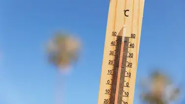 ¿Ola de calor en Venezuela? Inameh reporta máximas de 36°C este miércoles: sepa más ¿Ola de calor en Venezuela? Inameh reporta máximas de 36°C este miércoles: sepa más