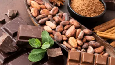 ¿El cacao es bueno para tu memoria? Estos son los estudios científicos que despejan dudas y mitos sobre tus hábitos alimenticios ¿El cacao es bueno para tu memoria? Estos son los estudios científicos que despejan dudas y mitos sobre tus hábitos alimenticios