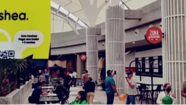 Línea Cotidiana a dos cuotas durante La Cosecha de Cashea: comercios disponibles Línea Cotidiana a dos cuotas durante La Cosecha de Cashea: comercios disponibles