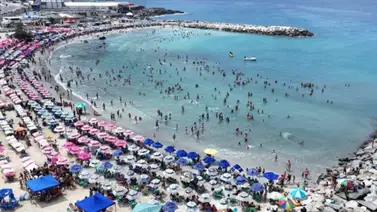 Denuncian que tolderos de La Guaira talaron árboles para obligar a los bañistas paguen toldos Denuncian que tolderos de La Guaira talaron árboles para obligar a los bañistas paguen toldos