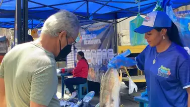 Activan feria del pescado a bajo costo en Caracas: conozca los puntos de venta este 21 de marzo Activan feria del pescado a bajo costo en Caracas: conozca los puntos de venta este 21 de marzo