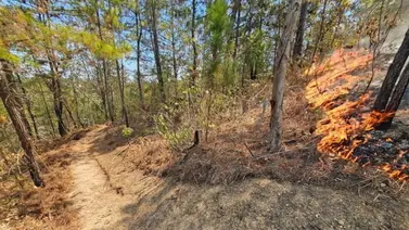 Incendios en varias zonas de Caracas este 23 de marzo: imágenes aquí Incendios en varias zonas de Caracas este 23 de marzo: imágenes aquí