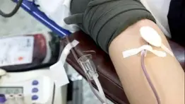 Testigos de Jehová permitirán transfusiones de sangre: así debe ser el procedimiento