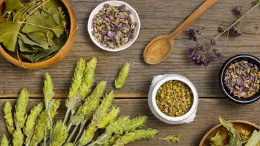 Esta planta milagrosa se usa para combatir enfermedades virales: este es el secreto para prepararla Esta planta milagrosa se usa para combatir enfermedades virales: este es el secreto para prepararla