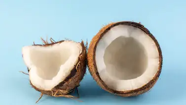 Dulce típico de Semana Santa fácil de preparar y a muy bajo costo: el ingrediente protagónico es el coco Dulce típico de Semana Santa fácil de preparar y a muy bajo costo: el ingrediente protagónico es el coco