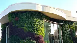 Arquitectura viva: este es el auge de las fachadas vegetales como solución climática