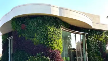 Arquitectura viva: este es el auge de las fachadas vegetales como solución climática Arquitectura viva: este es el auge de las fachadas vegetales como solución climática