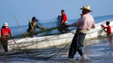 Pesca genera alerta en Falcón: capturan especie en peligro de extinción que supera los 160 kilos Pesca genera alerta en Falcón: capturan especie en peligro de extinción que supera los 160 kilos