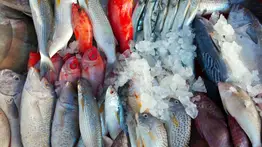 ¿Sigues la tradición de comer pescado en Semana Santa?: Claves para comprarlo fresco 