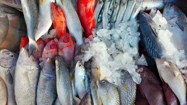 ¿Sigues la tradición de comer pescado en Semana Santa?: Claves para comprarlo fresco ¿Sigues la tradición de comer pescado en Semana Santa?: Claves para comprarlo fresco