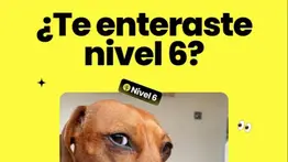 Cashea tiene buenas noticias para clientes nivel 6: actualiza tu app