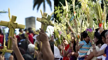 Domingo de Ramos: programación de eucaristía, bendición y entrega de palmas en iglesias de Caracas Domingo de Ramos: programación de eucaristía, bendición y entrega de palmas en iglesias de Caracas