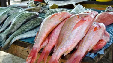 ¡Desde 3 dólares! Estos son los pescados más baratos para comer en esta Semana Santa ¡Desde 3 dólares! Estos son los pescados más baratos para comer en esta Semana Santa