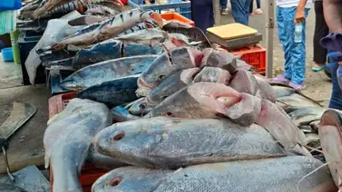 Semana Santa 2026: aquí venden pescado hasta con 40 % de descuento Semana Santa 2026: aquí venden pescado hasta con 40 % de descuento