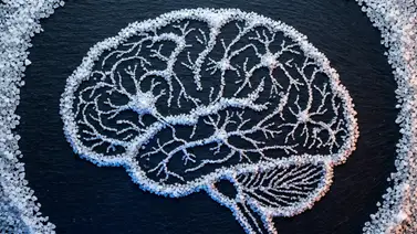 ¿Por qué la sal es clave para la salud de las neuronas? Conoce el equilibrio perfecto del sodio para potenciar tu cerebro ¿Por qué la sal es clave para la salud de las neuronas? Conoce el equilibrio perfecto del sodio para potenciar tu cerebro