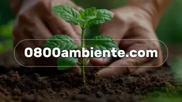 Minec lanza web para reportar delitos ambientales: así puedes denunciar de forma confidencial