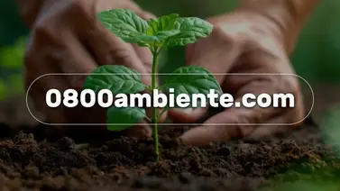 Minec lanza web para reportar delitos ambientales: así puedes denunciar de forma confidencial Minec lanza web para reportar delitos ambientales: así puedes denunciar de forma confidencial