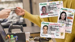 ¡Atención Miami! Jornada móvil para sacar el Real ID y licencia: detalles