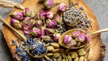 Plantas medicinales: conoce nuestro top cinco según su efectividad Plantas medicinales: conoce nuestro top cinco según su efectividad