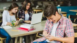 2001online - Florida - Celulares