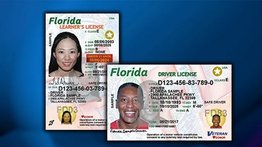 licencia-conducir-venezolanos-tps