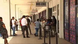 retrasos-tramites-florida-venezolanos-tps 