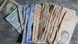 Pensionados en el Sistema Patria: qué se sabe del pago Amor Mayor