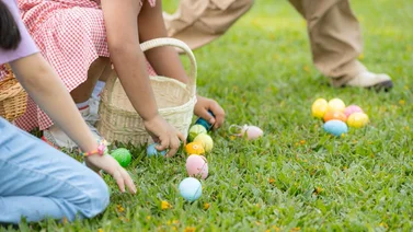 Cacería de huevos en Charlotte Pascua