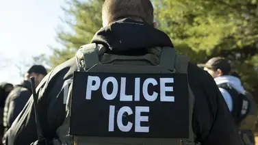 2001ONLINE - ESTADOS UNIDOS - REDADAS ICE FAMILIA 2001ONLINE - ESTADOS UNIDOS - REDADAS ICE FAMILIA