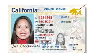 Real-ID-California-tarifa-especial Real-ID-California-tarifa-especial