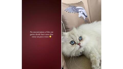 Belinda en busca de un ser querido: difunde imágenes para su localización