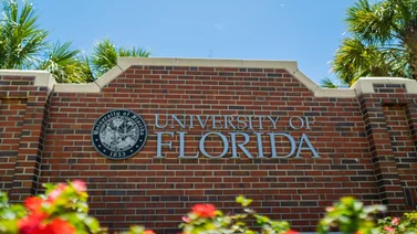 Florida: DeSantis ordena auditorías exhaustivas en universidades mediante nueva oficina estatal