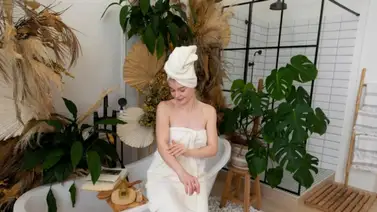 ¿Baño con humedad? Estas plantas evitarán el moho ¿Baño con humedad? Estas plantas evitarán el moho