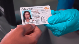 real-id-cuanto-tiempo-tarda