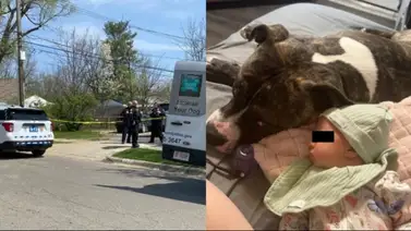 Tragedia en Ohio: pitbull de la familia asesina a bebé de siete meses Tragedia en Ohio: pitbull de la familia asesina a bebé de siete meses