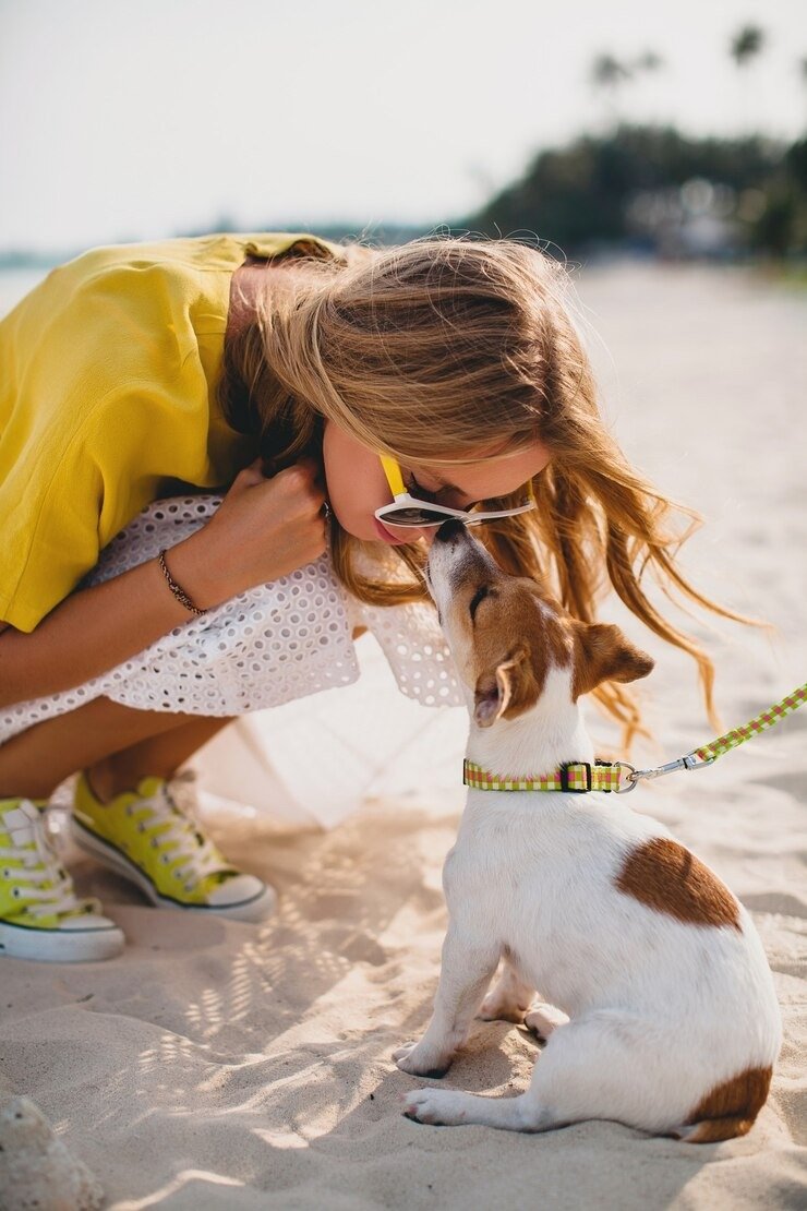 Conoce los tips prácticos para controlar tu mascota en la playa: así se manejan sus desechos Conoce los tips prácticos para controlar tu mascota en la playa: así se manejan sus desechos