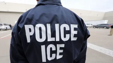 Universidades de Florida cooperan con ICE: agentes interrogarán a estudiantes sobre su estatus migratorio