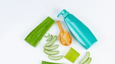 Paso a paso para preparar una crema natural de aloe vera con tres ingredientes