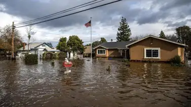 Seguro de inundación: FEMA lanza herramienta para cotización de tarifas  Seguro de inundación: FEMA lanza herramienta para cotización de tarifas